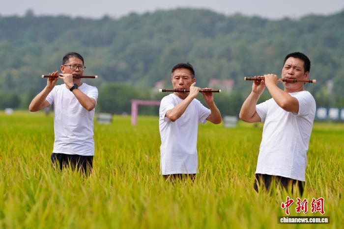 华体会